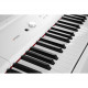 ARTESIA Цифрове піаніно ARTESIA PA88H (WHITE)