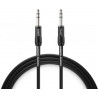 WARM AUDIO Pro-TRS-20''