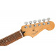 FENDER PLAYER PLUS STRATOCASTER PF ACAR