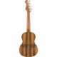 FENDER DHANI HARRISON UKULELE WN SAPPHIRE BLUE