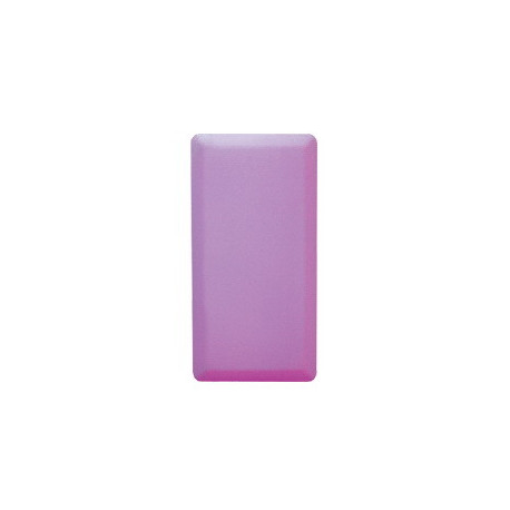 CKC LIGHTING CKC-604S LED PANEL 60X30 CM