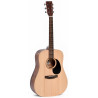 Ditson D-10