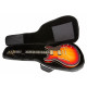 ROCKBAG RB20607 B/PLUS Premium Line - Electric Hollow Body Guitar Gig Bag