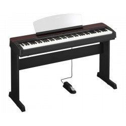 YAMAHA P-155