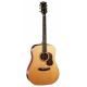 CORT GOLD D8 (Natural)