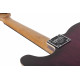 SCHECTER PT PRO TPB