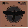 PRS Classic Acoustic Strings, Light 12-53
