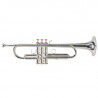 Roy Benson Charli Green Signature
