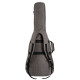 CORT CPAG10 Premium Bag Acoustic Guitar