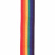 D'addario PWS110 Polypro Guitar Strap (Rainbow)