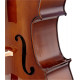 STENTOR 1108/A STUDENT II CELLO OUTFIT 4/4