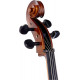 STENTOR 1108/A STUDENT II CELLO OUTFIT 4/4