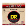 DR Strings VERITAS Coated Core Acoustic Guitar Strings - Custom Light (11-50)
