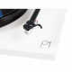 REGA PLANAR 1 PLUS MM (MATT WHITE)