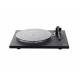 REGA PLANAR 6 ANIA (BLACK)