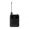 Audio-Technica ATW-DT3101