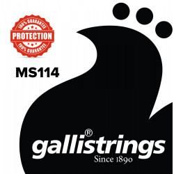GALLISTRINGS MS114