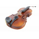 GEWA Violin Allegro-VL1 4/4