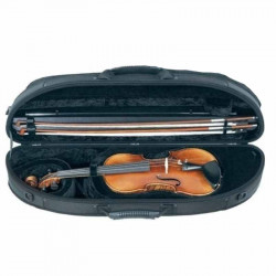 GEWA Violin Liuteria Sport Style 4/4 (307.403)