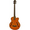 ARIA FEB-F2M STBR