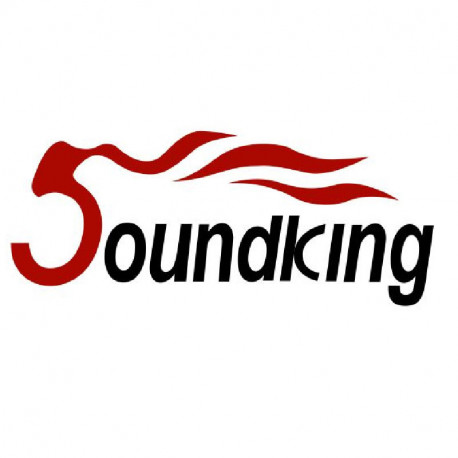 SOUNDKING Power amp for AA3500C