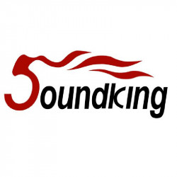 Soundking RC-filter for FI040 8 Ohm