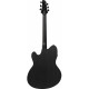 IBANEZ TCY621 BOT