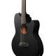 IBANEZ TCY621 BOT