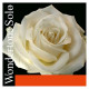 Pirastro Wondertone Solo 310321 4/4