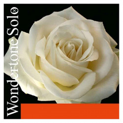 Pirastro Wondertone Solo 310321 4/4