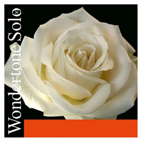 Pirastro Wondertone Solo 310321 4/4