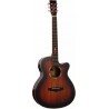 TANGLEWOOD TWX4 CEK