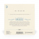 D'ADDARIO EJ87T TITANIUM UKULELE TENOR