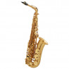 Henri Selmer Paris III BGG GO