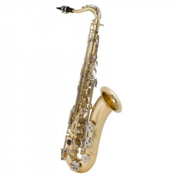 Conn-Selmer TS500