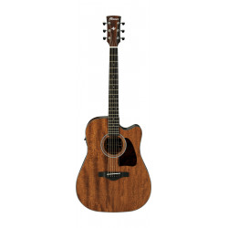 IBANEZ AW54CE OPN