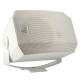 AMC Viva 5 (White)