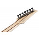 IBANEZ RGR752AHBF WK