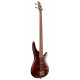 IBANEZ SR300EDX WZM