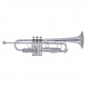 Bach Stradivarius 50th Anniversary (190S43)