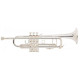 Bach Stradivarius (180S72)