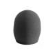 AKG W3001