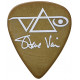 IBANEZ 1000SVBR STEVE VAI SIGNATURE PICK