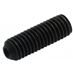 WARWICK SP W30150 Bridge Height Adjustment Screw