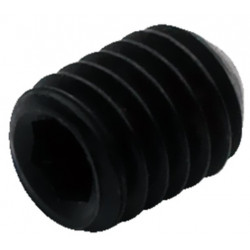 WARWICK SP W30152 Bridge Sadde Fixing Set Srew