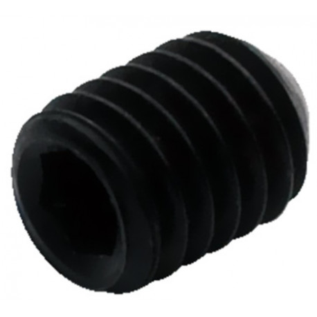 WARWICK SP W30152 Bridge Sadde Fixing Set Srew