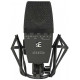 SE ELECTRONICS SE 4400A
