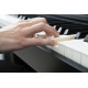 CASIO CELVIANO AP-750 BK