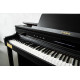 CASIO CELVIANO AP-750 BK