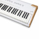 ARTURIA ASTROLAB 88